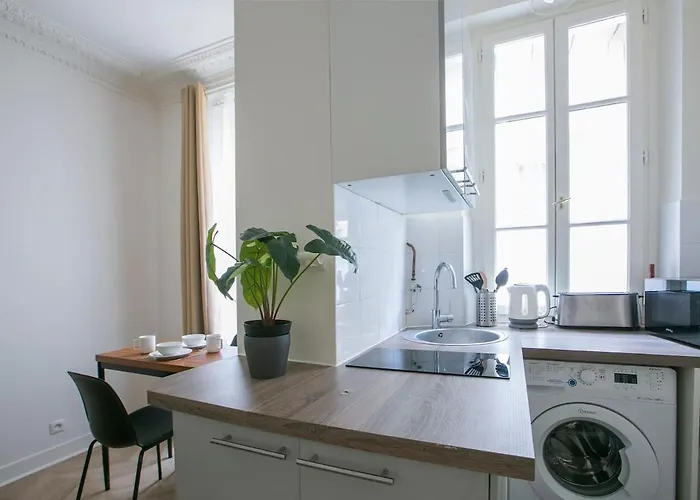 Cozy And Elegant Parisian 公寓